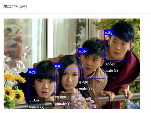年龄性别识别